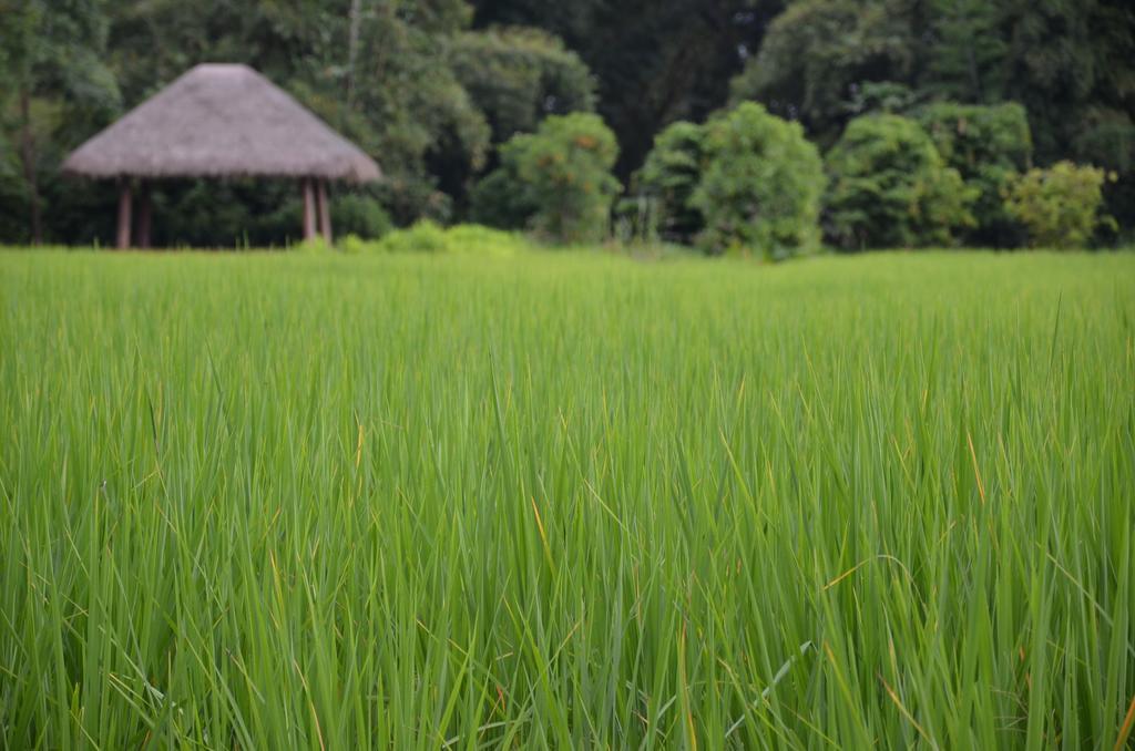 Pa Sak Tong Hotel Chiang Rai Esterno foto